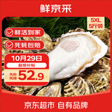鲜京采  鲜活生蚝5XL 净重5斤 9-12只 乳山牡蛎 火锅 新鲜海鲜 贝类