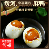 京喜加鸭蛋姐新鲜精品黄河滩散养麻鸭批发海鸭蛋整箱即食咸鸭蛋50g/枚 50克流油咸鸭蛋 4枚