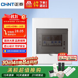 正泰强电箱配电箱明装6回路NEX5-C10600M