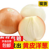 新鲜黄洋葱黄金水果洋葱即食蔬菜调料烧烤食材 新鲜黄洋葱 5斤 含箱