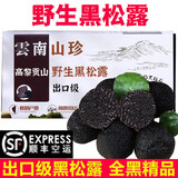 【顺丰】野生黑松露 云南高黎贡山出口级全黑精品黑松露 精品2-3cm 500g