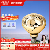 欧普照明（OPPLE）浴霸取暖灯泡官方原装防爆膜灯暖275W中间照明浴霸灯泡卫生间浴室 【浴霸取暖金泡】1只