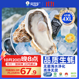 贝司令鲜活生蚝乳山生态牡蛎4XL 净重4斤 8-11只 源头直发 生鲜宴会送礼