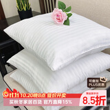 钟爱一生简约抱枕芯沙发靠枕芯多尺寸靠垫内胆正方形靠背 45*45cm条纹400g 单件
