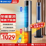 格力（GREE）取暖器家用暖风机冷暖两用电暖器等离子除菌电暖气片冬暖夏凉电风扇无叶塔扇落地扇 FL-1001RBag