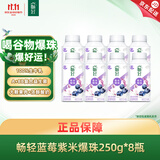 伊利畅轻低温酸奶 蓝莓紫米爆珠250g*8瓶酸牛奶 源头直发包邮
