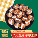 盛怡菲达【顺丰速发】花螺新鲜冷冻东风螺小香螺整箱商用批发海鲜水产 花螺 1000g