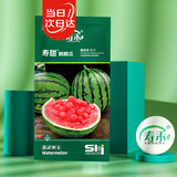 寿禾麒麟西瓜种子种苗皮薄脆甜大瓜水果种籽 潍育寿甜麒麟瓜种子90粒