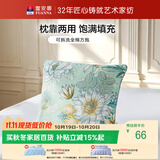 富安娜抱枕头 纯棉方抱沙发办公室汽车靠垫含枕芯可拆洗 清新绿 50*50cm