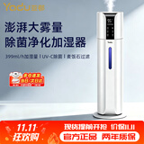 亚都（YADU）空气加湿器家用落地式大容量上加水卧室孕妇婴儿智能恒湿除菌净化客厅办公室超声波空调房喷雾增湿 智能除菌款