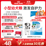 皇家狗粮 幼犬狗粮 幼犬奶糕宠物小型犬MIJ31全价犬粮2-10月800g