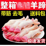新鲜羊蹄子生羊蹄带筋现杀羊脚冷冻羊爪羊脚蹄生鲜黑羊蹄商用 0g 农家现杀羊蹄带箱【6斤 +炖料】