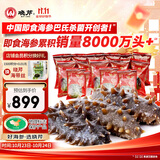 晓芹大连即食海参3斤35-50只  辽刺参 海鲜水产