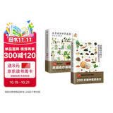 【自营包邮】图解本草纲目药茶养生+中药蔬果套装（全2册） 美颜瘦身、滋阴补虚、补脾健胃 减重 京东减重