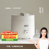 olayks立时 电压力锅 高压锅 家用多功能高压电饭锅快煮智能预约小型 婴儿辅食锅 3升适用3-5人双胆