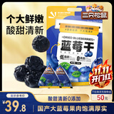 三只松鼠每日蓝莓干500g 蜜饯果干酸甜休闲零食下午茶孕妇儿童健康零食