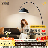 鹿家良品（LUUGAA）护眼钓鱼灯客厅高级感落地灯沙发旁现代极简意式轻奢卧室氛围灯具 【荐】护眼中号|层高<3米-三色调光