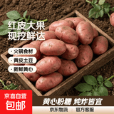 河北红皮大土豆新鲜黄心土豆现挖洋芋地蛋马铃薯粉面火锅批发 红皮土豆大果 9斤净重 【单果150g+】