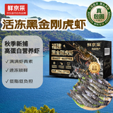 鲜京采 特大号福建活冻黑虎虾 净重3斤 30-45只/盒
