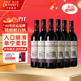 王朝（DYNASTY）藏酿解百纳干红葡萄酒整箱装 红酒赤霞珠750ml*6支 热门平价酒