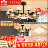 雷士（NVC）美式轻奢现代轻奢客厅灯灯臂发光吊灯三室两厅套餐WHXD100W/G-01