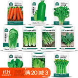 北蔬萝卜白菜籽香菜菠菜胡萝卜生菜秋冬菜种 10种秋冬季蔬菜种子套餐
