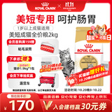皇家猫粮 美短成猫粮 ASA31 通用粮 12月以上 2KG