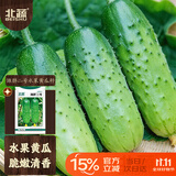 北蔬水果黄瓜种子苗青瓜盆栽秋冬菜籽 卓脆潍胖二号水果黄瓜种子100粒