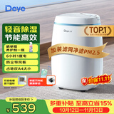 德业（Deye）除湿机/抽湿机 除湿量12升/天 家用轻音吸湿器地下室干燥机干衣机低功耗手机智控DYD-E12A3