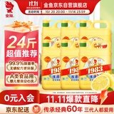金鱼洗洁精2kg*6瓶整箱装 A类食品用商用洗涤灵 果蔬清洗剂去油强力