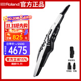 罗兰（Roland）AE20/AE30电吹管电子萨克斯吹管成人老年人电子管吹奏乐器+琴包