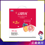 来思尔云端牧场云南剑川云端牧场西柚凤梨味酸奶180g*12瓶