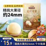 三只松鼠量贩装夏威夷果250g/袋 儿童每日坚果炒货休闲零食团购送礼