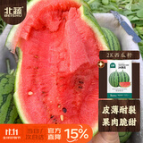 北蔬2k西瓜种子种苗薄皮多汁礼品瓜水果种籽 2k西瓜种子约10粒x2包