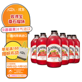 宾得宝（Bundaberg）含气番石榴汁饮料375ml*6玻璃瓶装 澳州网红秋日芭乐果汁气泡水