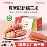 天勤粒粒净 有机彩花糯玉米（3.52斤）8穗*220g新玉米棒玉米真空包装早餐