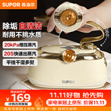 苏泊尔（SUPOR）【优雅复古】手持挂烫机24g/min家用熨烫机110ml水箱蒸汽电熨斗小型便携式EGH-906A团购礼物