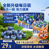 三只松鼠每日蓝莓干256g/16包 无添加水果干果脯小包装儿童老人办公室零食
