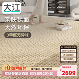 大江进口羊毛地毯客厅现代简约素色轻奢高级感沙发地毯240x340cm