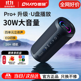 雷登X10蓝牙音箱音响2.0声道 高音质户外大功率低音炮小型随身有源防水迷你便携式2026最新款骑行音响 X10pro+【2.0独立双声道-黑】+30W功率+可插U盘 标配四核+超长续航【双喇叭+双振