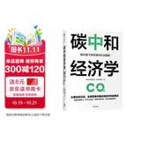 碳中和经济学 新约束下的宏观与行业趋势 中金公司力作