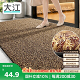 大江入户门地垫脚垫户外门口地毯硬丝进门垫57x87cm