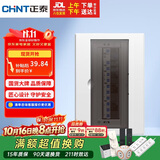 正泰强电箱配电箱明装13回路NEX5-C11300M
