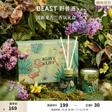 野兽派Jungle香氛礼盒香薰蜡烛香薰卧室生日礼物 清新龙舌兰「甜蜜花香调」