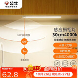 公牛（BULL）感应橱柜灯衣柜灯LED人感光感磁吸 卧室床沿玄关小夜灯30CM4000K
