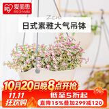 爱丽思（IRIS）吊钵环保树脂绿萝常春藤垂吊挂盆花盆吊兰盆悬挂壁式吊篮挂钩花盆 6号浅米色