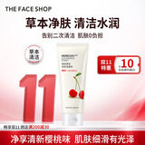菲诗小铺（THE FACE SHOP）草本芦荟洗面奶170g清洁补水大容量洗脸双十一礼物送女友 樱桃170g-提亮肤色