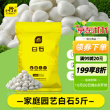 史丹利白石子水培石子天然铺面石白色鹅卵石原石庭院石头造景花盆 5斤