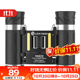 雷龙酷影10X22迷你便携高清高倍便携可折叠双筒望远镜户外演唱会观鸟