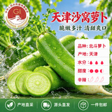 京鲜生正宗天津沙窝萝卜净重5斤 单根300g以上 地标水果 源头直发包邮